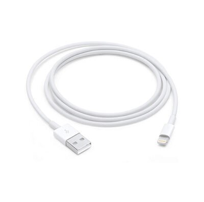 Apple Lightning USB-Cable 1M